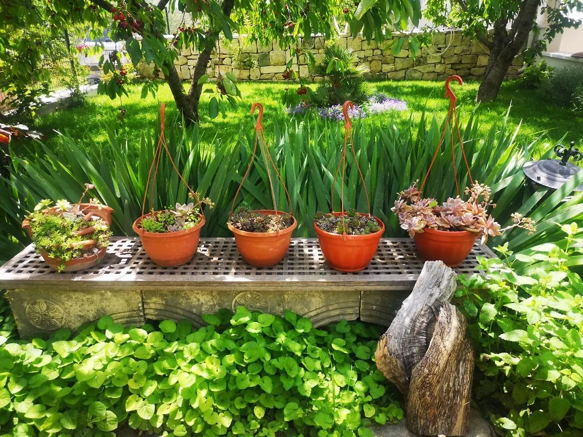 M&M Novak Luxury Apartment With Award Winning Garden Kastela